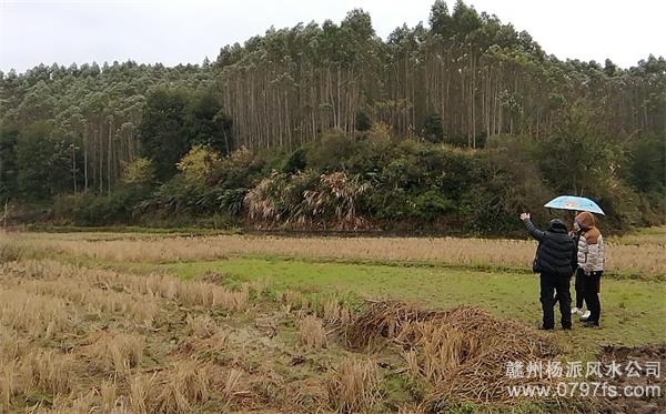 郴州市陈老师带着爱徒寻龙点穴